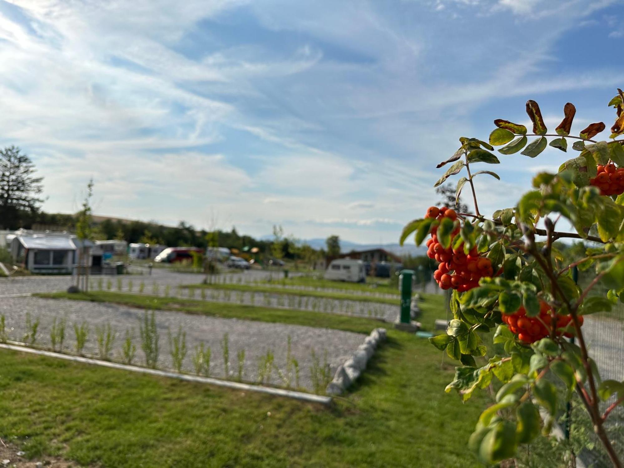 7 Lakes Camping Sapareva Bania Exterior foto