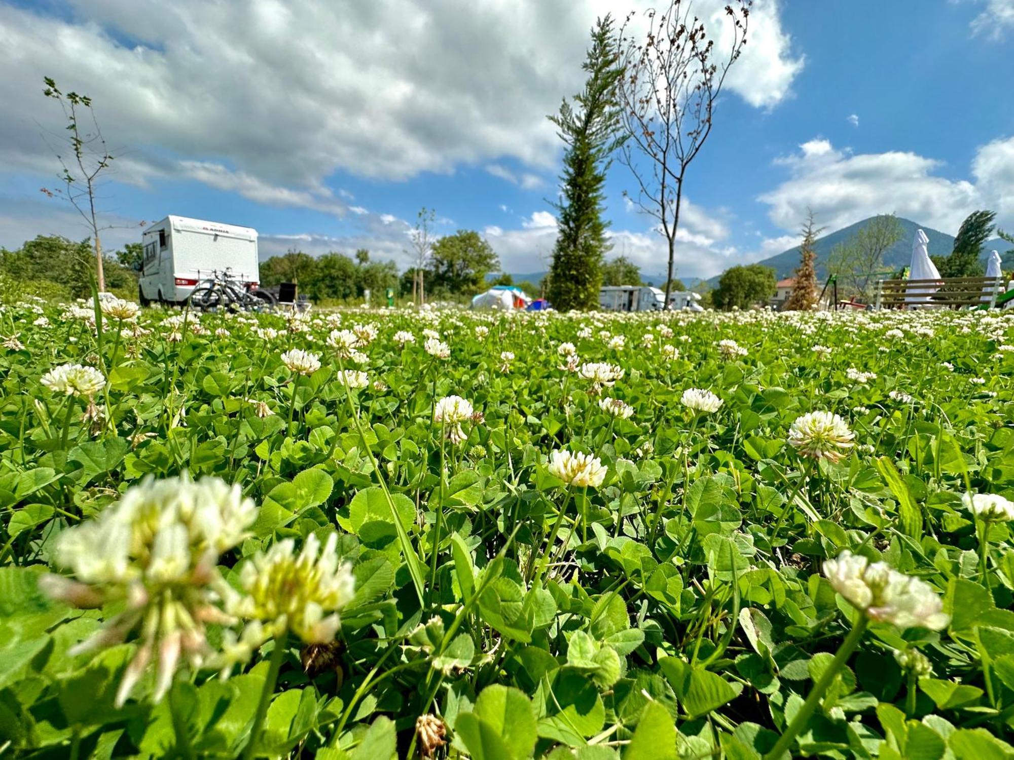 7 Lakes Camping Sapareva Bania Exterior foto